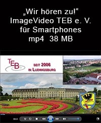 ImageVideo2013_handy.jpg